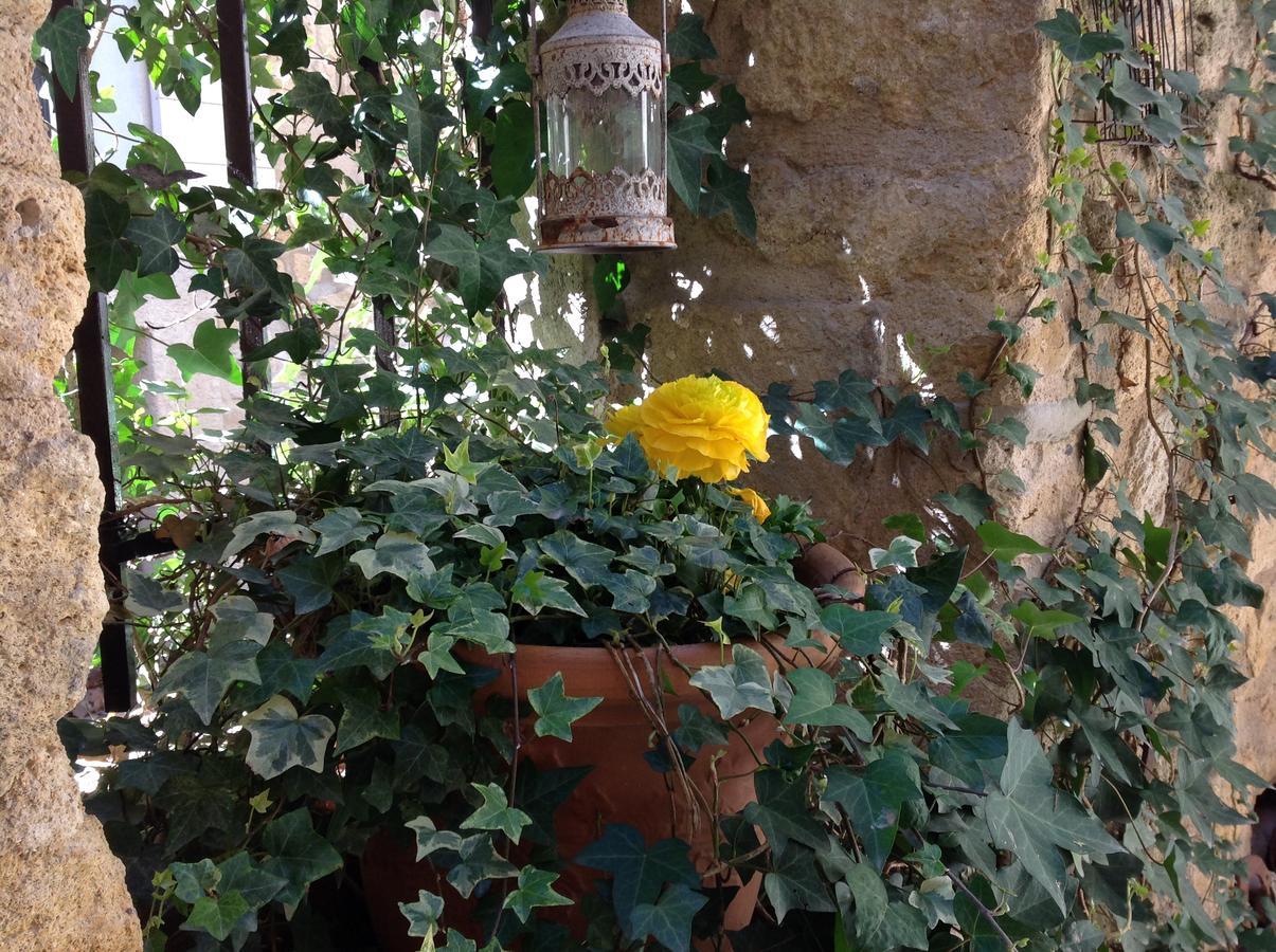 Un Patio En Luberon Bed & Breakfast Ansouis Exterior photo